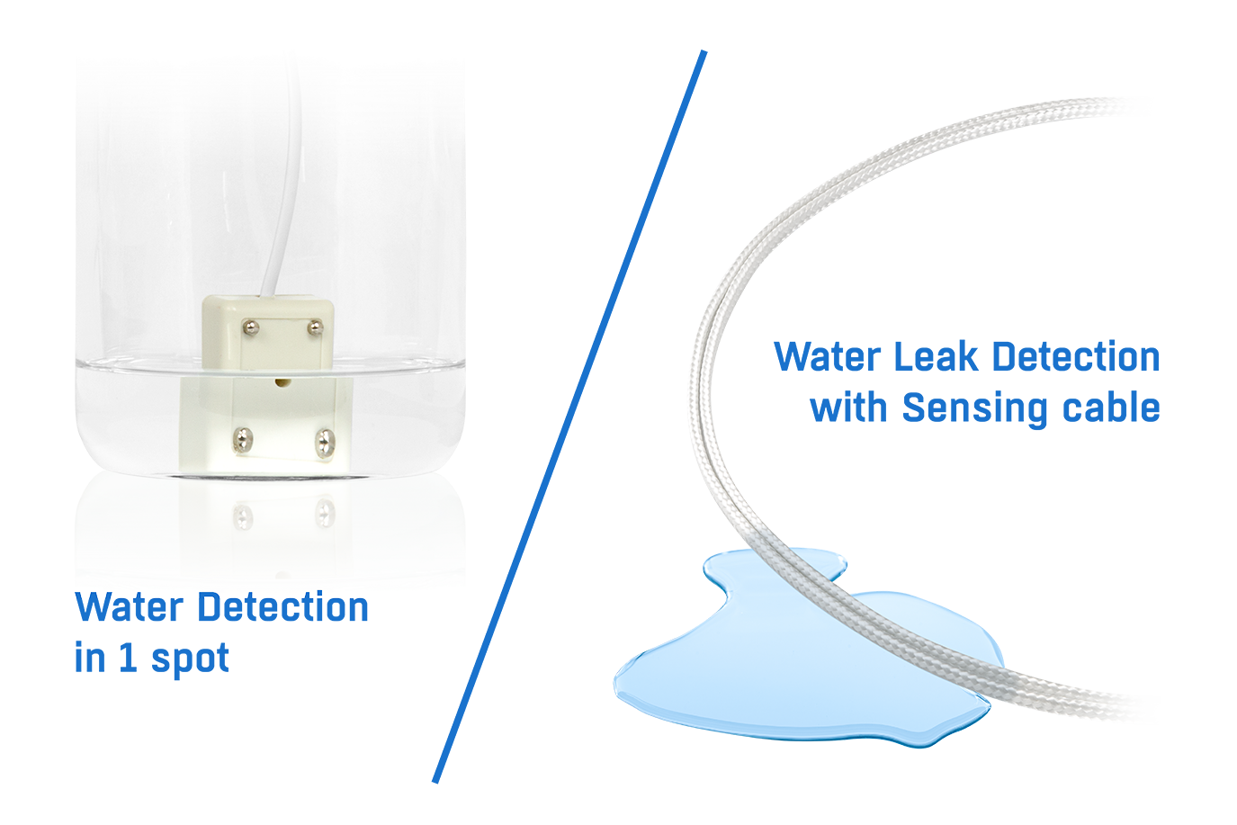 ����������� ������ ���� ������ ����������� ����������